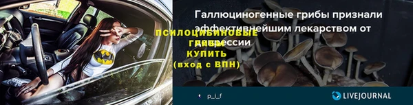 ГАЛЛЮЦИНОГЕННЫЕ ГРИБЫ Абдулино