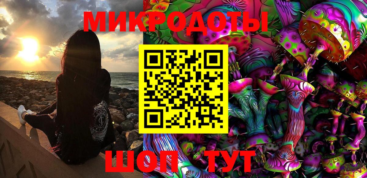 Галлюциногенные грибы Psilocybe Рязань