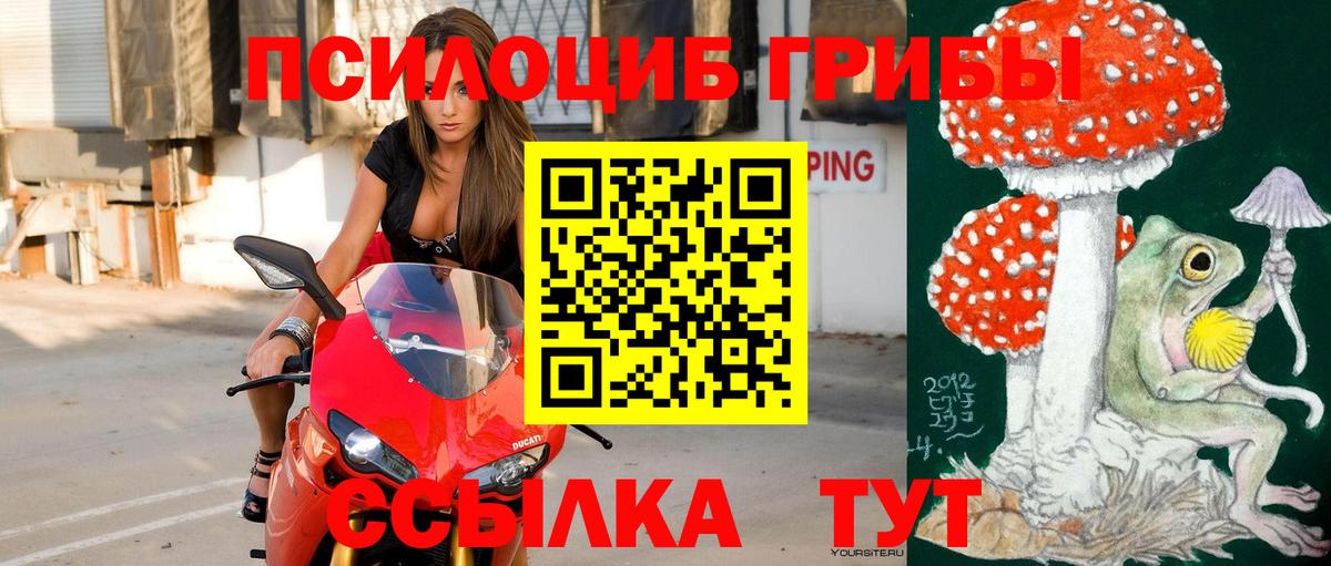 Галлюциногенные грибы ЛСД Рязань