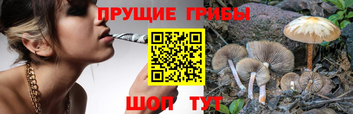 Рязань  наркошоп  Вход с VPN  Псилоцибиновые грибы мицелий 